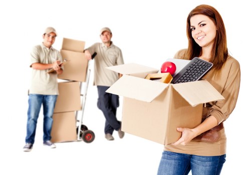 Annual review and policy assessment for Man With Van Lewisham