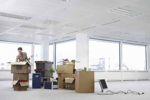 Professional Lewisham moving service handling household items
