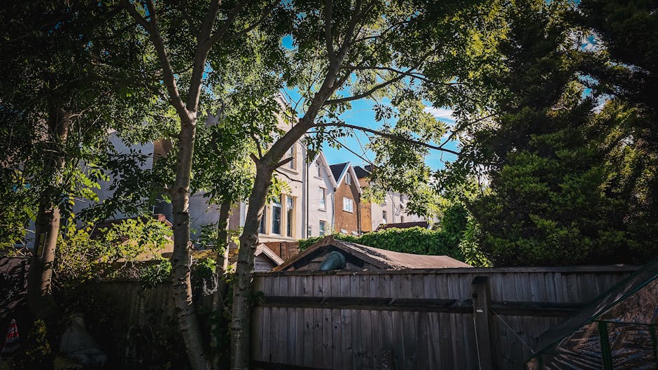 A residential area in Ladywell with a row of modern, multi-storey houses visible behind a wooden fence. In the foreground, there are several trees with green leaves, some branches extending across the image, partially obscuring the view of the houses. The sky is clear and blue, indicating a sunny day. The scene captures the outdoor environment where house removals may take place, with no visible moving equipment or people present, focusing instead on the typical surroundings of a home relocation area in Lewisham. Man with Van Lewisham’s services could involve navigating such outdoor spaces for furniture transport and packing during house moves.